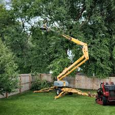 Best Weed Control  in Poway, CA