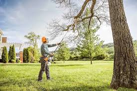 Best Lawn Watering Services  in Poway, CA